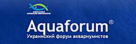 aquaforum